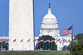 Мемориал Вашингтона и Капитолий